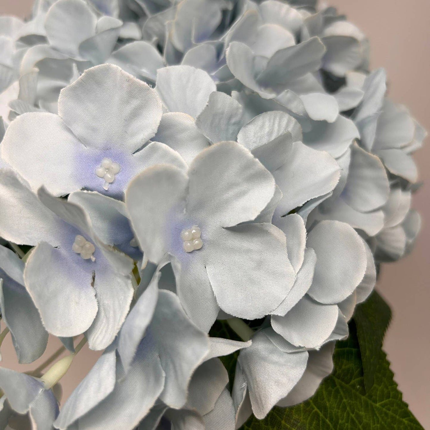 English Garden Hydrangea Bush x5 - 17" Dried Blue
