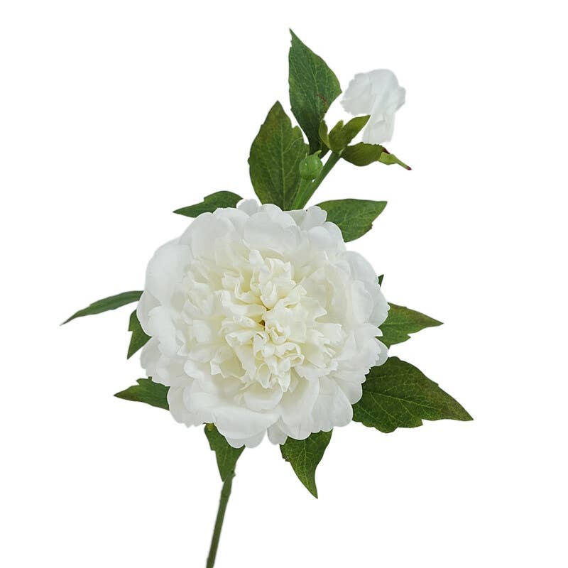 Real Touch Peony Stem - 2 Blooms