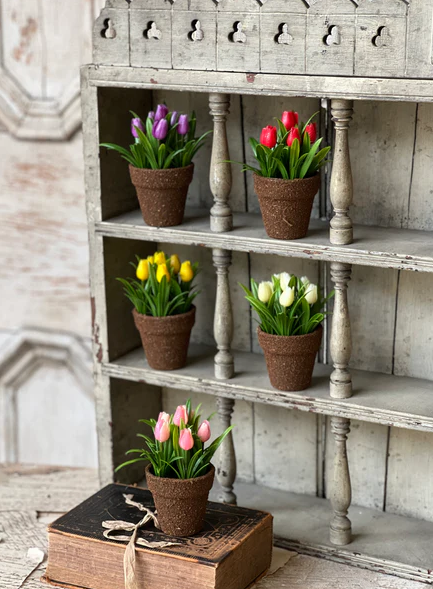 Teacup Tulip Pot | 5" | Pink