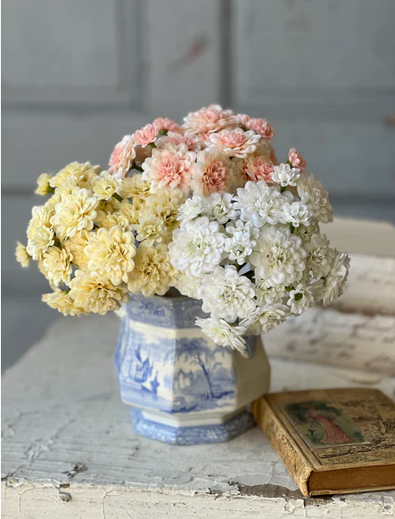 Petal Pusher Bundle | 10.5" | Butter