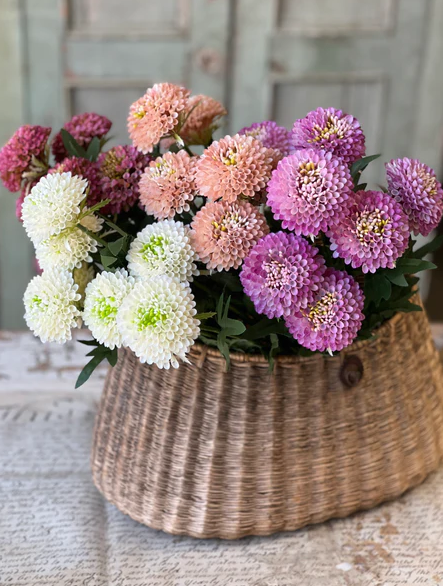 Corsage Florets | 17" | Blush