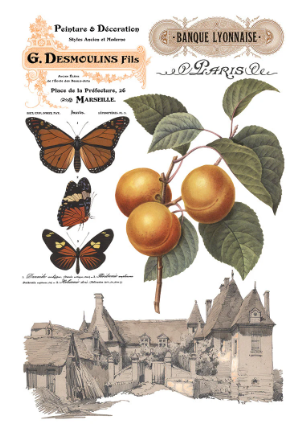 Saint Ouen IOD Transfer 8x12 Pad™
