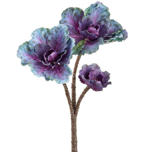 Ornamental Cabbage Pick Green Purple | 13"