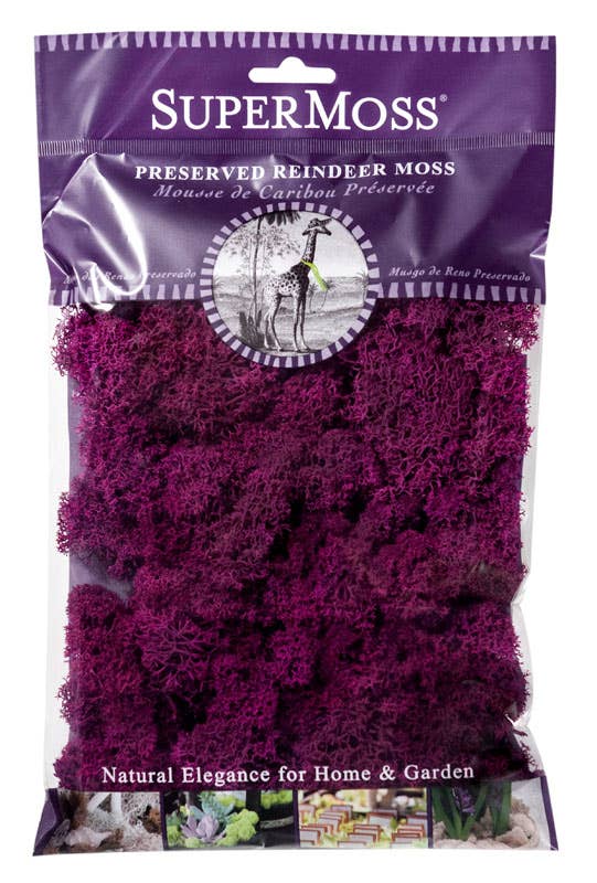 Reindeer Moss Preserved 2oz bags