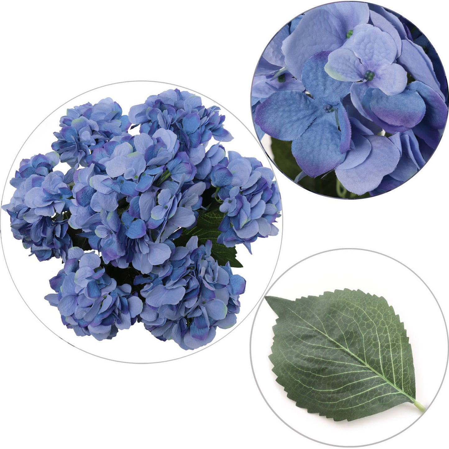 Midnight Blue Hydrangea Bush