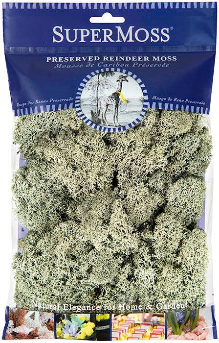 Reindeer Moss Preserved 2oz bags
