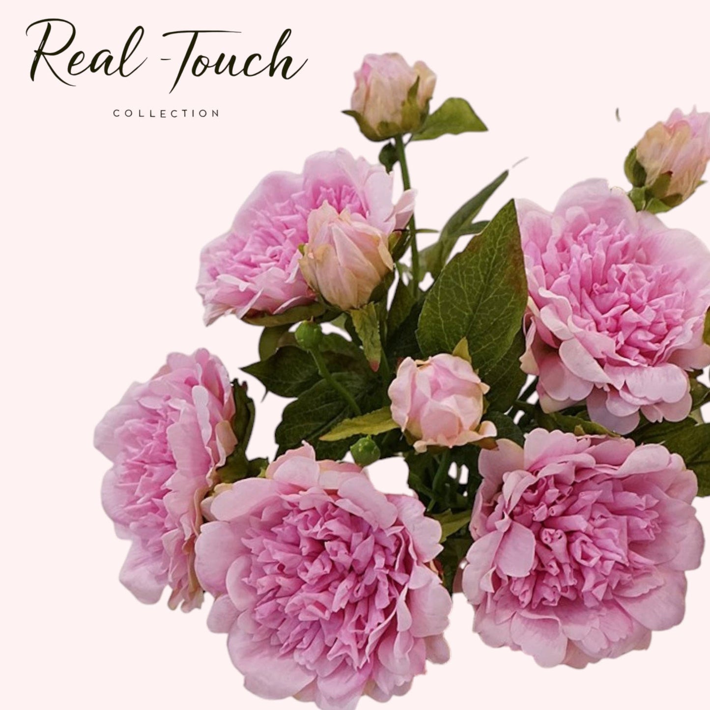Real Touch Peony Stem - 2 Blooms