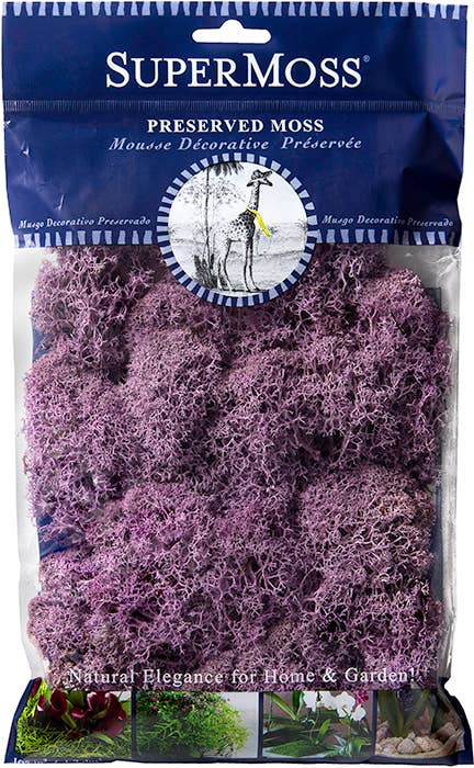 Reindeer Moss Preserved 2oz bags
