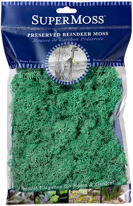 Reindeer Moss Preserved 2oz bags