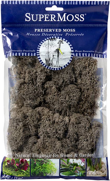 Reindeer Moss Preserved 2oz bags