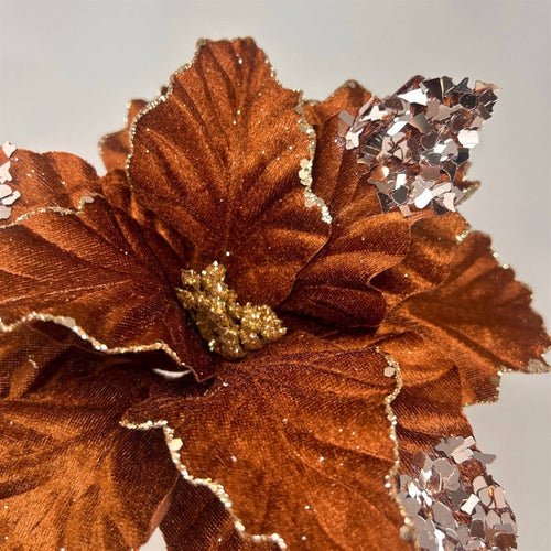 Chocolate Velvet Poinsettia w/ Champagne Sequins 15"