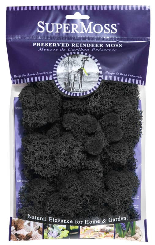 Reindeer Moss Preserved 2oz bags