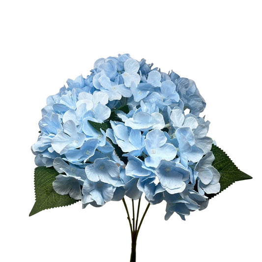 English Garden Hydrangea Bush