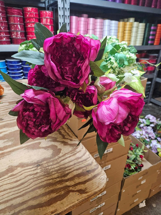 Jewel Tone Peony Bush