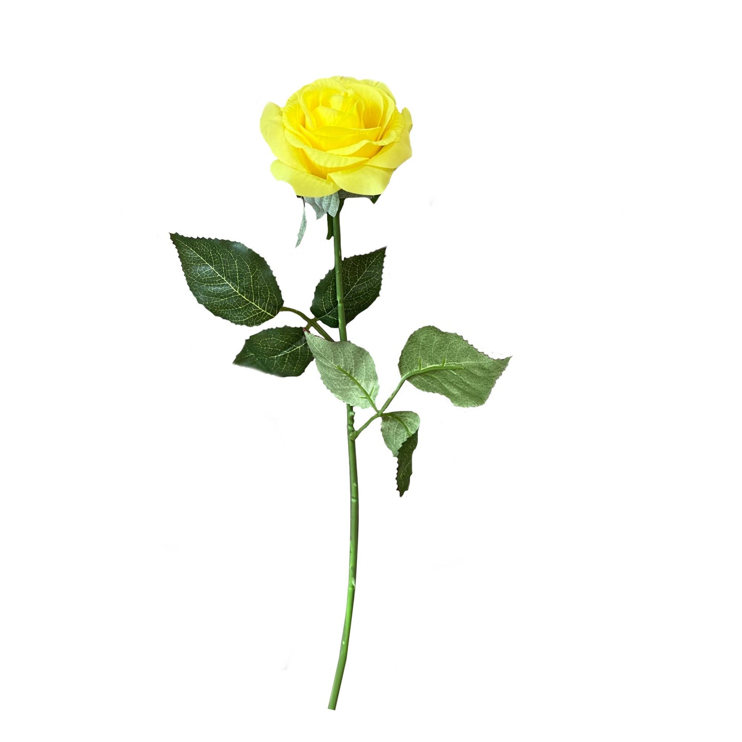 Ultra Realistic Rose