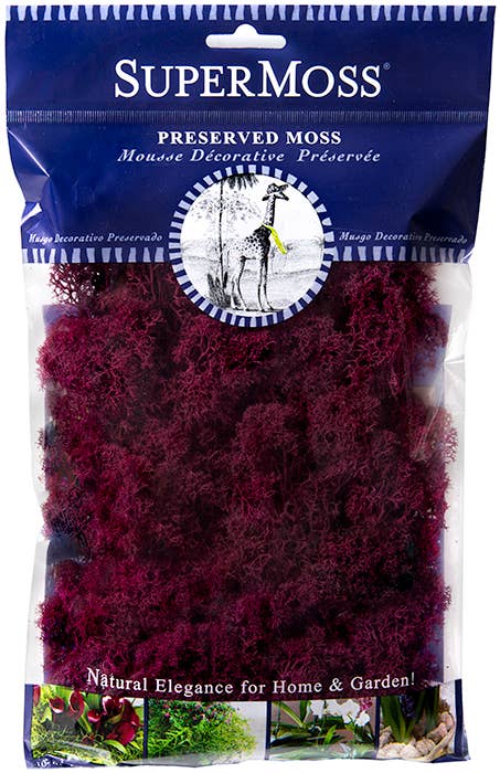 Reindeer Moss Preserved 2oz bags