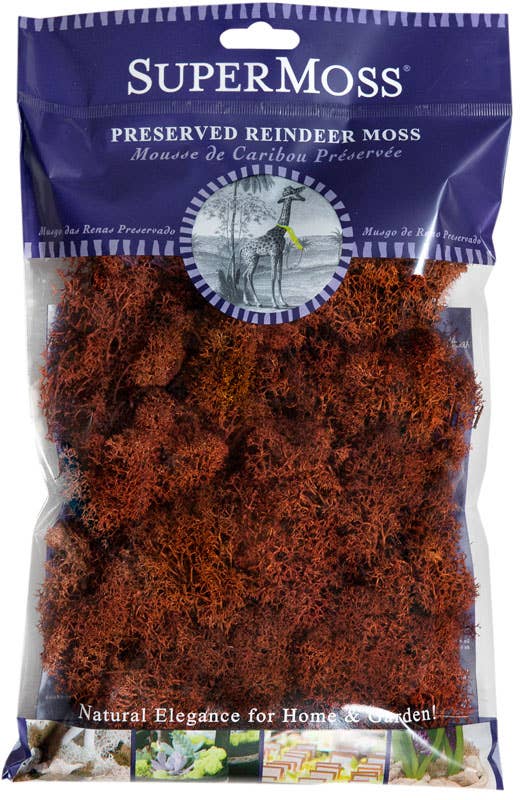 Reindeer Moss Preserved 2oz bags