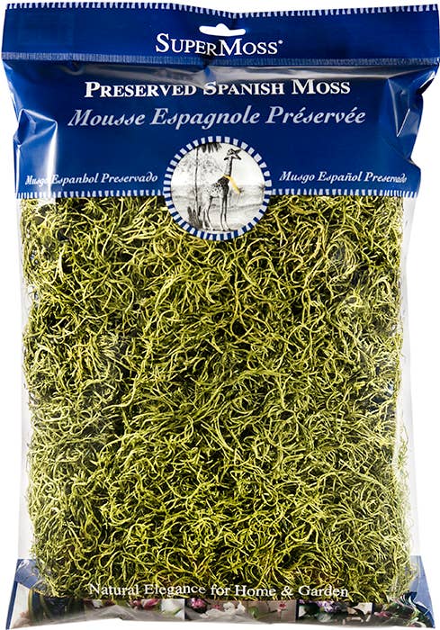 Preserved Spanish Moss