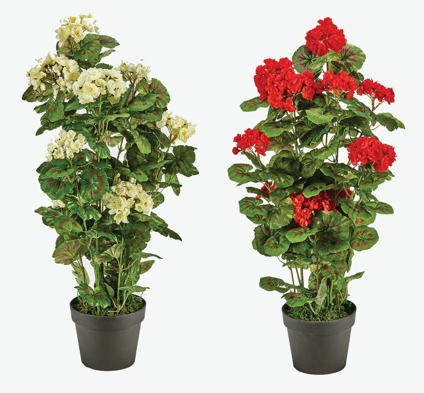Potted Faux Geranium