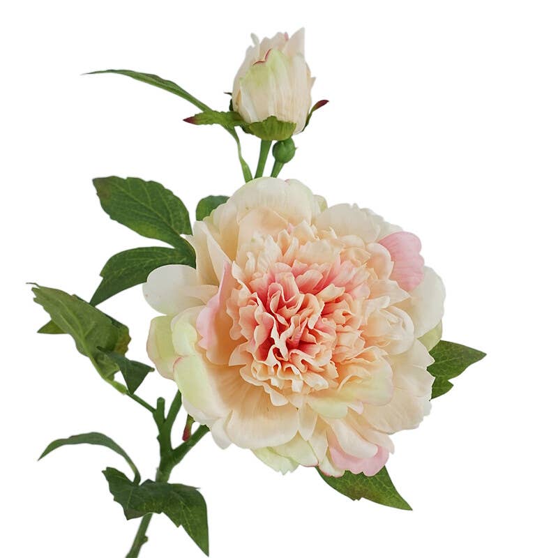 Real Touch Peony Stem - 2 Blooms