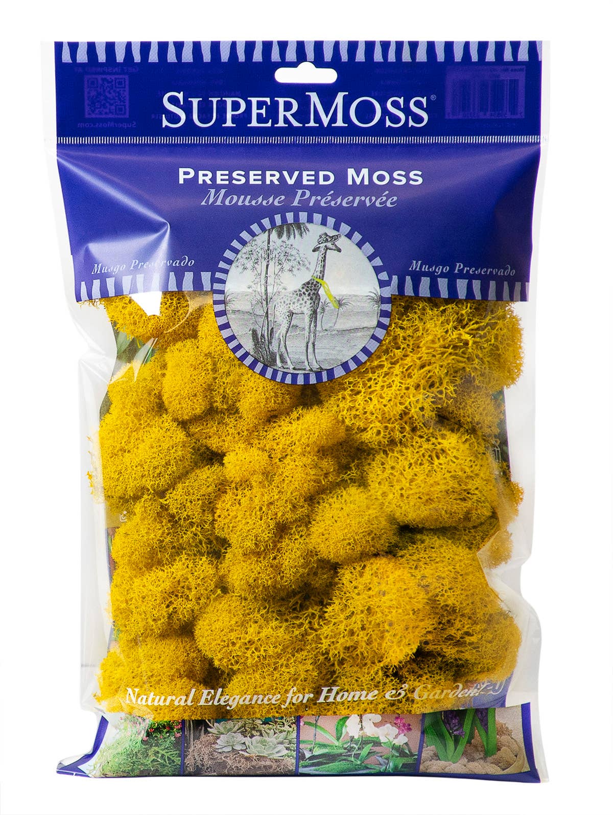 Reindeer Moss Preserved 2oz bags