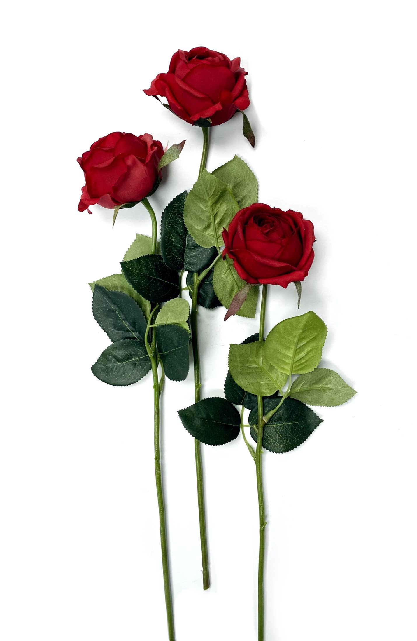 Ultra Realist: Real Touch Cabbage Head Rose