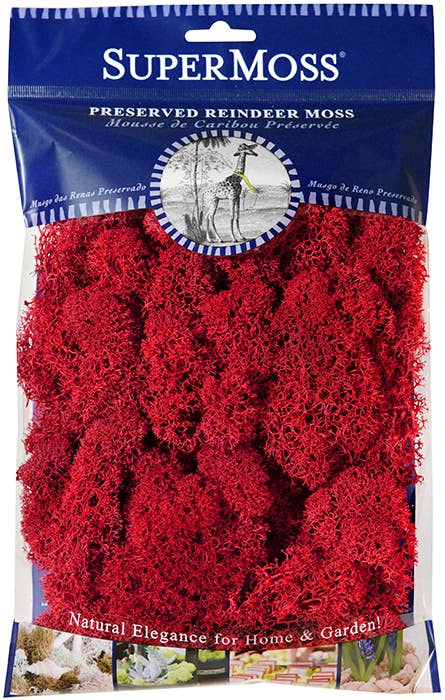 Reindeer Moss Preserved 2oz bags