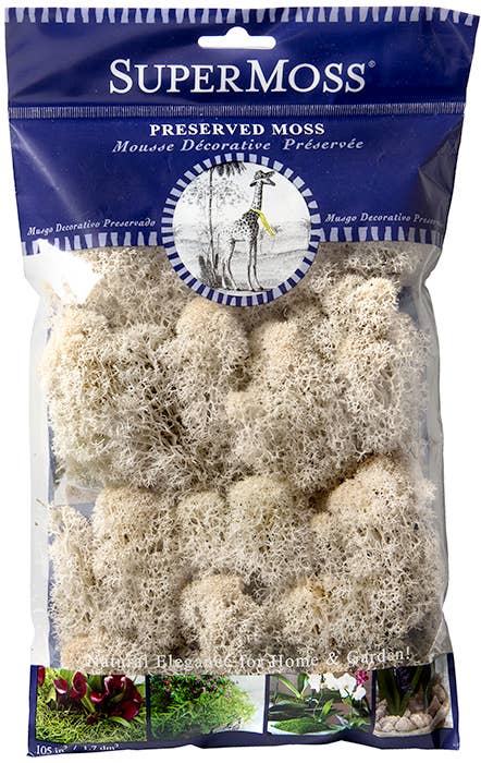 Reindeer Moss Preserved 2oz bags