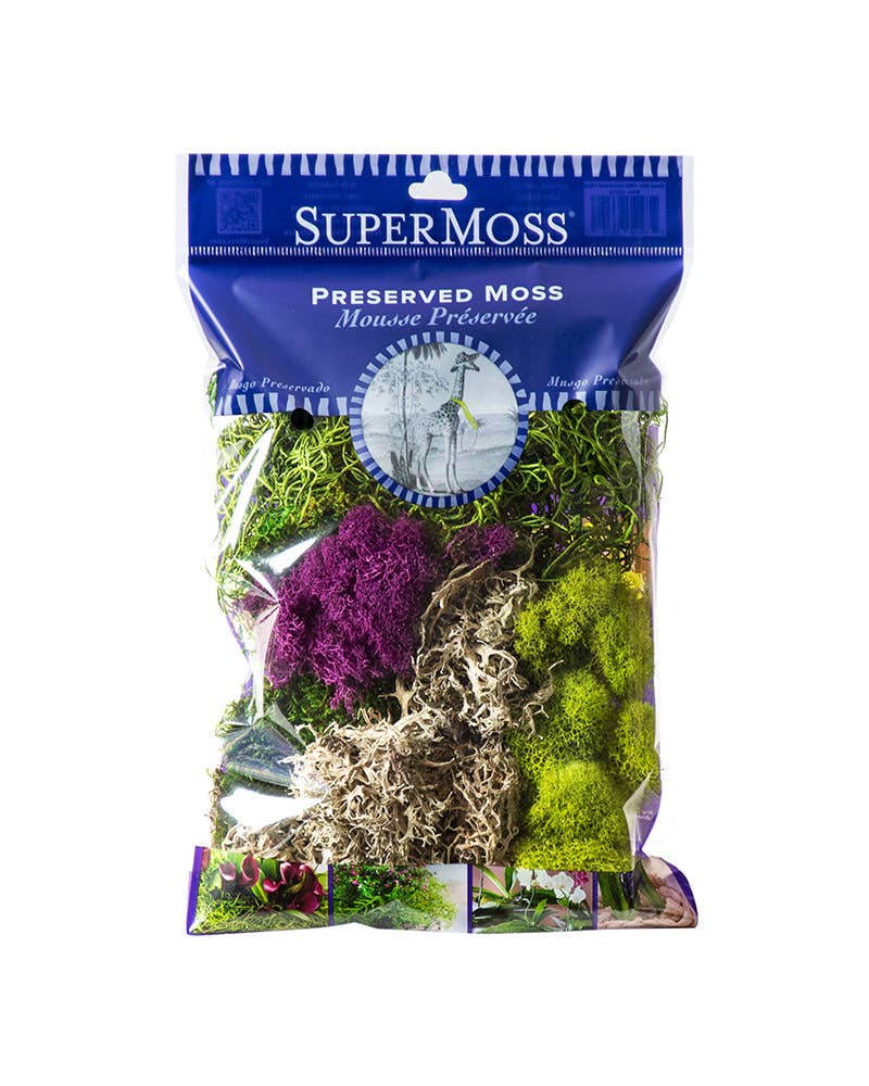 Best Sellers Moss Mix