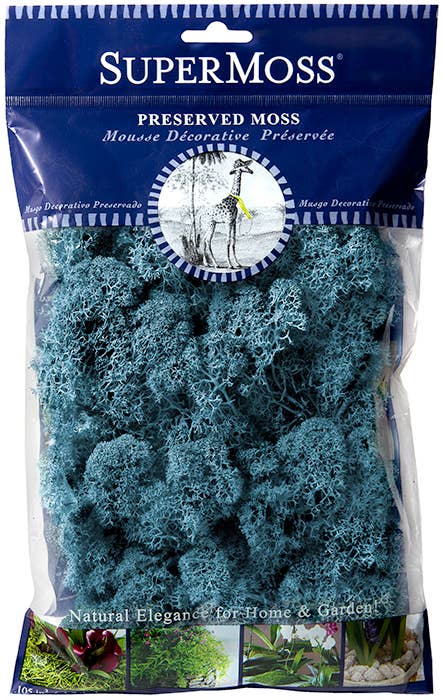 Reindeer Moss Preserved 2oz bags