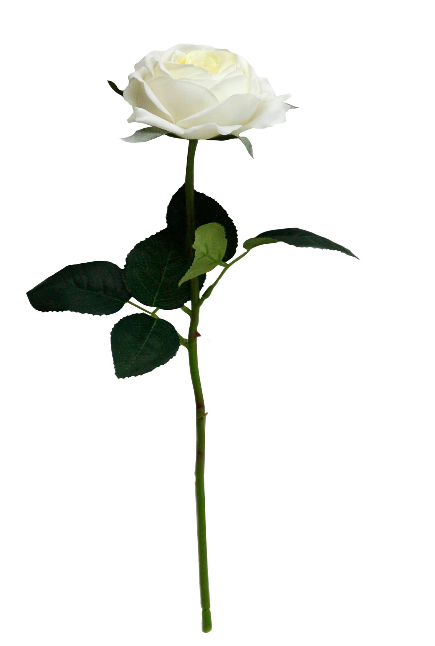Ultra Realist: Real Touch Cabbage Head Rose