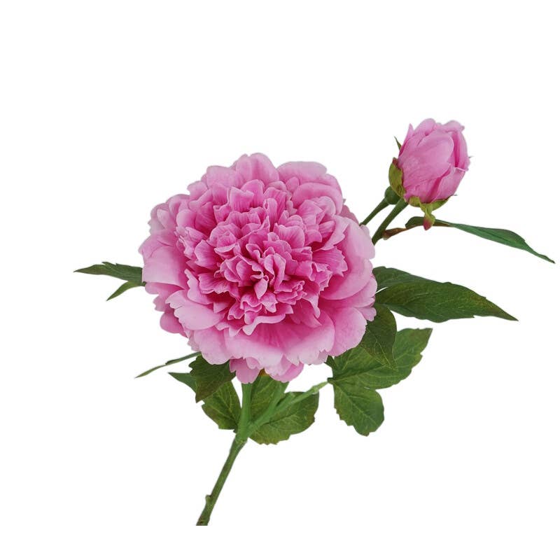 Real Touch Peony Stem - 2 Blooms