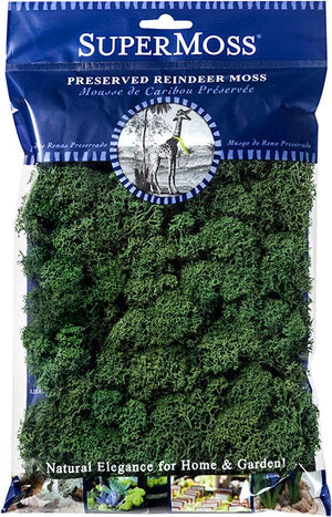 Reindeer Moss Preserved 2oz bags