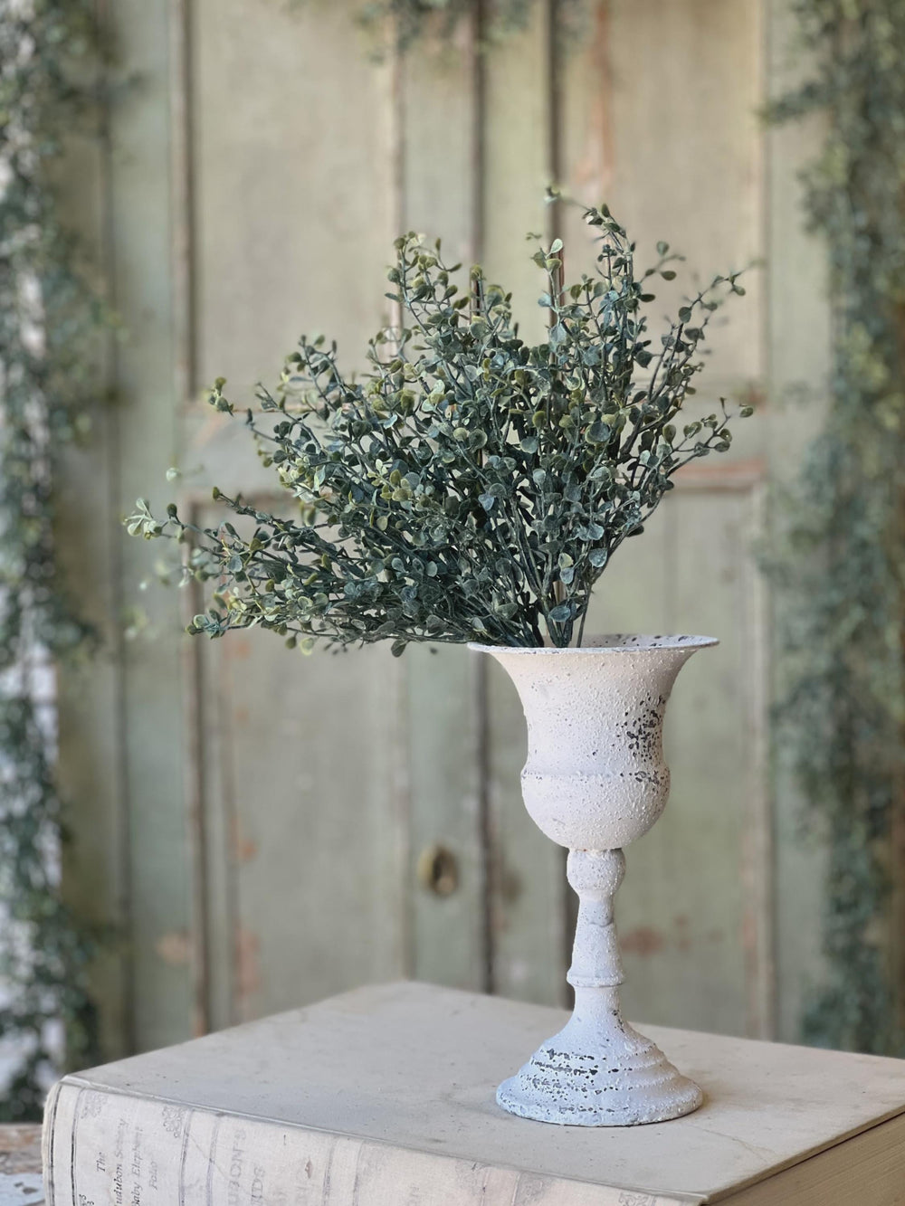 Baby's Twilight Candle  Bush | 14"