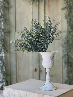 Baby's Twilight Candle  Bush | 14"