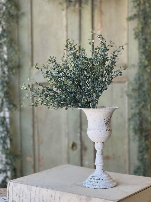 Baby's Twilight Candle  Bush | 14"