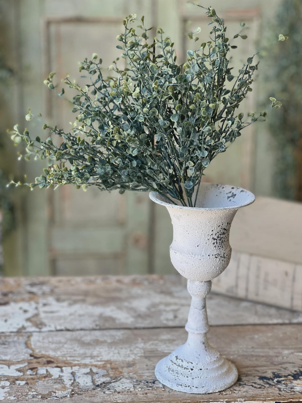 Baby's Twilight Candle  Bush | 14"