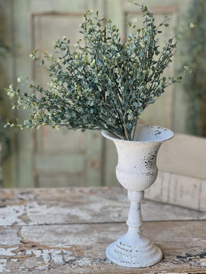 Baby's Twilight Candle  Bush | 14"