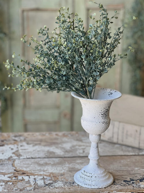 Baby's Twilight Candle  Bush | 14"