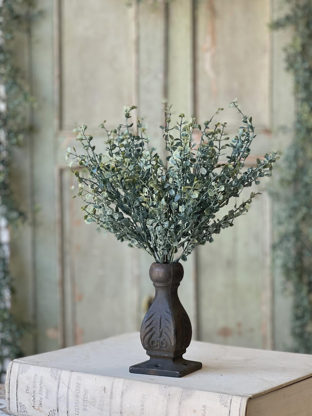 Baby's Twilight Candle  Bush | 14"