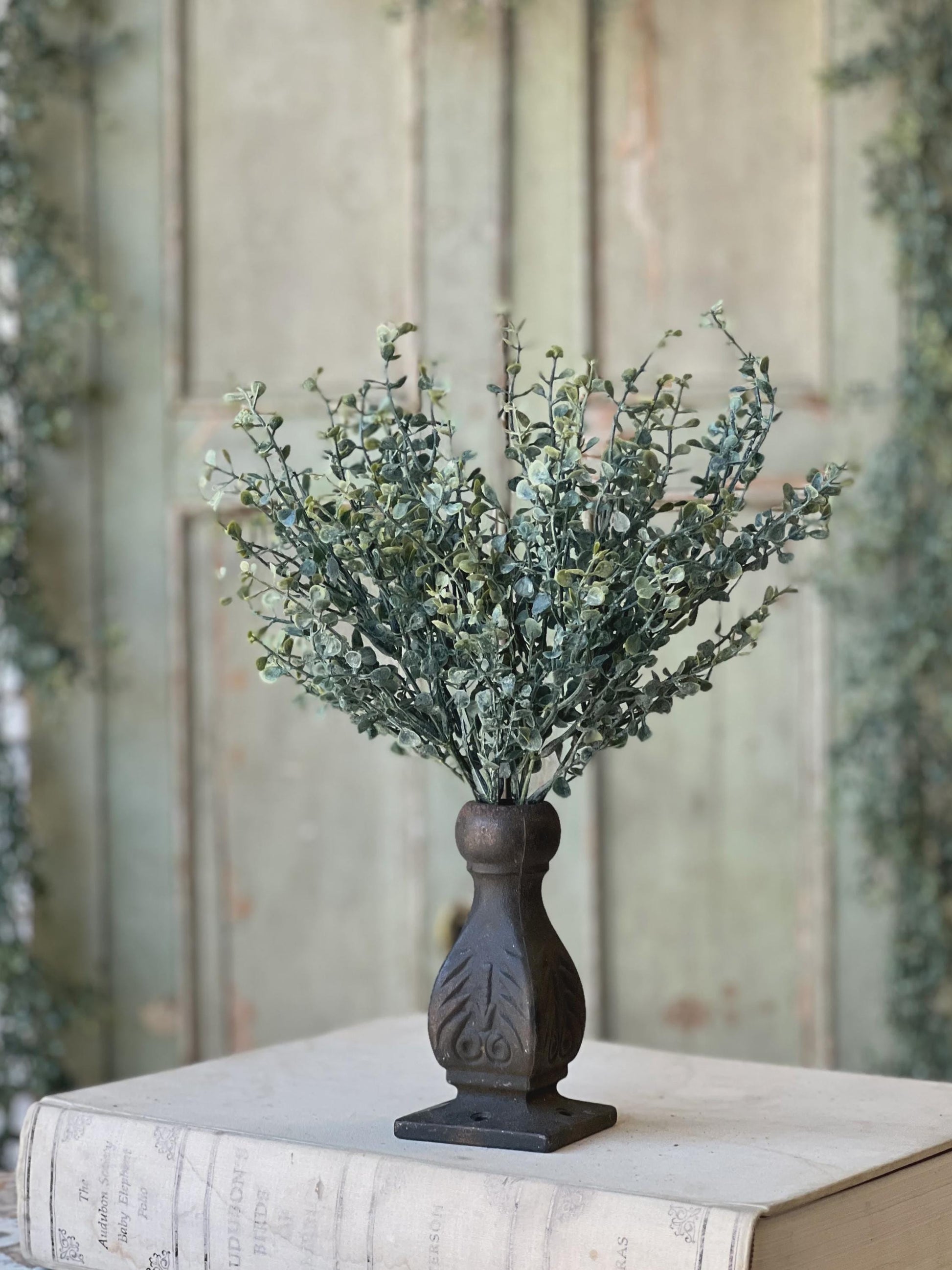 Baby's Twilight Candle  Bush | 14"