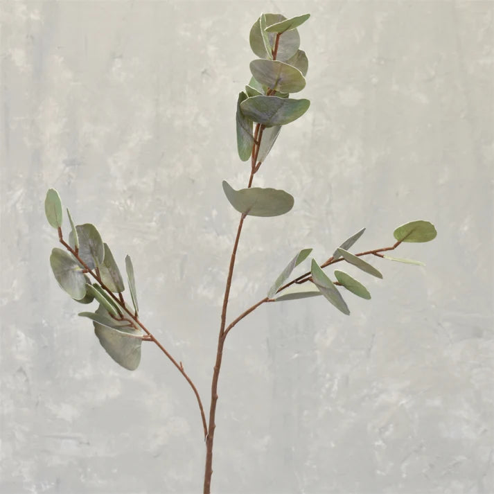 Soft Touch Silver dollar eucalyptus spray 32"