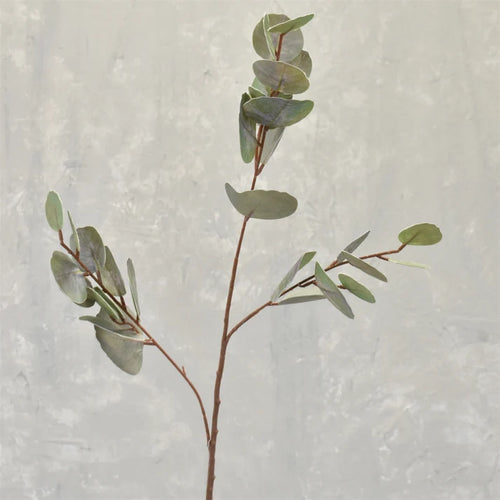 Soft Touch Silver dollar eucalyptus spray 32"