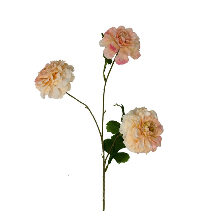 French marigold spray 25" - champagne/pink