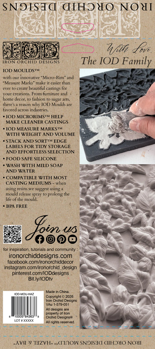 Hazel & Bay 6x10 IOD Mould™