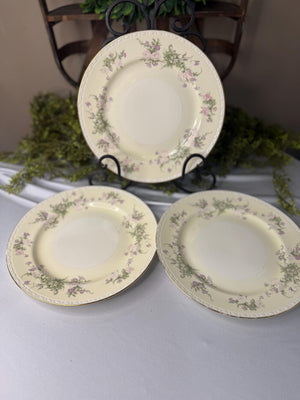 Homer Laughlin eggshell 10 inch dinner plates