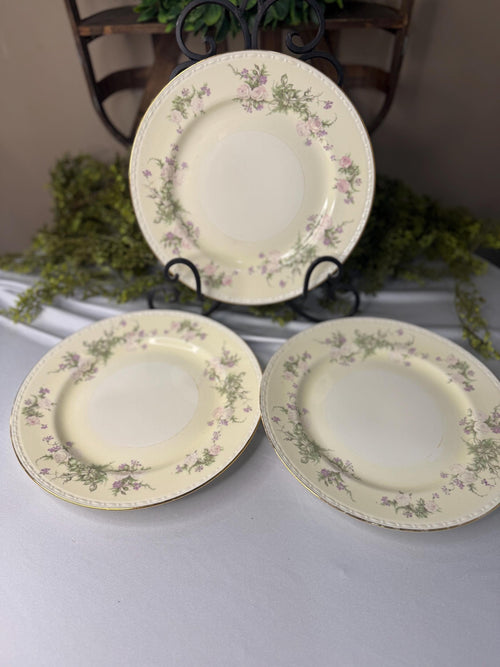 Homer Laughlin eggshell 10 inch dinner plates