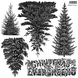 Winter Grove 12x12 IOD Stamp™