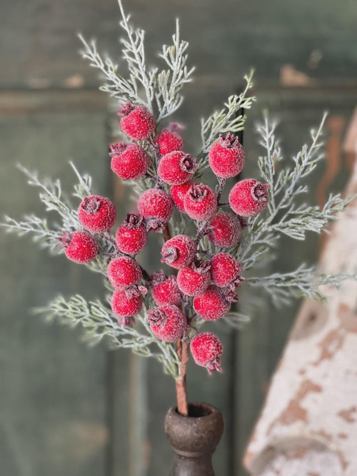 Icy Yule Berry Fir Pick | 18" I