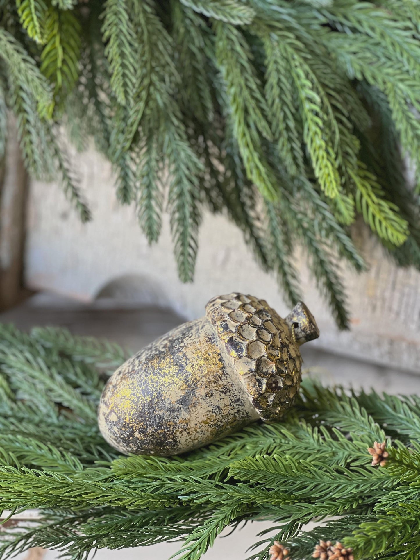 Nature's Masterpiece | 5" | Acorn |